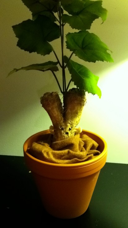 Mandrake